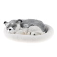 thumbnail image 3 of Perro de Simulación Zulema Adorno de animales con cojín Simulación de peluche de juguete de peluche, 3 of 8