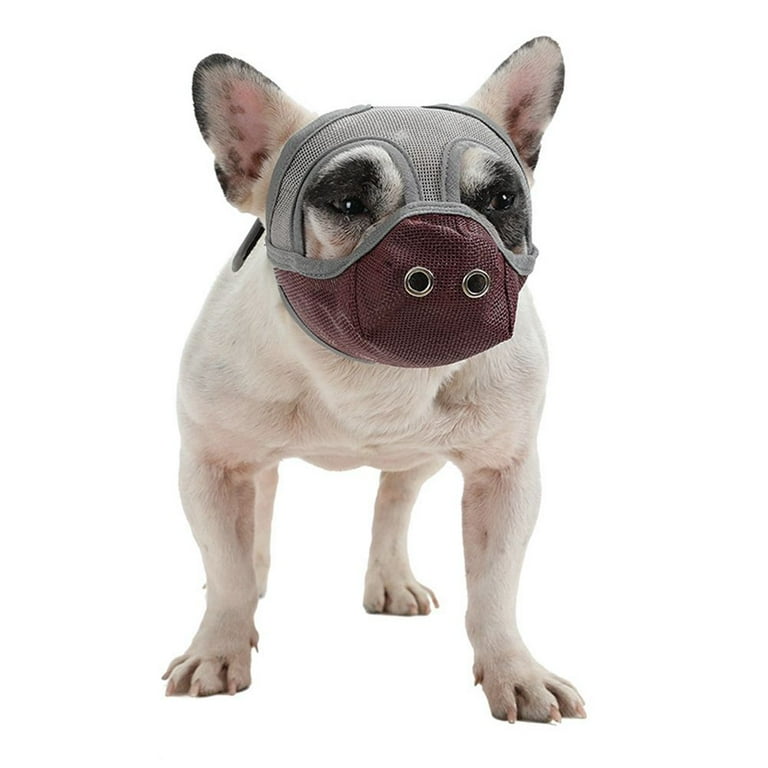 French bulldog grooming tools sales
