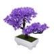 thumbnail image 1 of Decoración de Plantas Artificiales NikouMX Bonsái Artificial en Maceta, 1 of 8