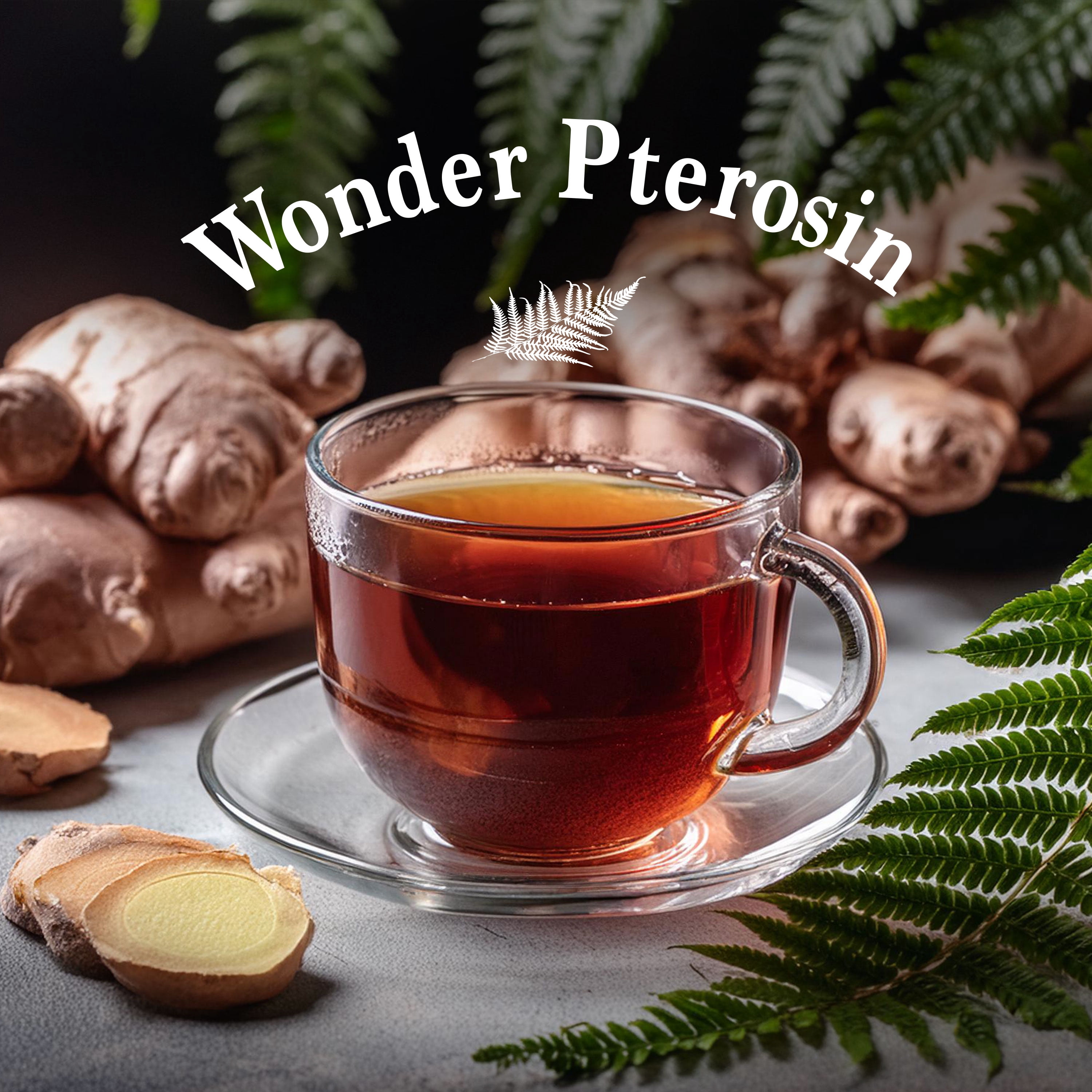 Wonder Pterosin Liquid Tea with Ginger – Herbal Botanical Extract Drink, Ready-to-Drink Wellness Tea Pouches, 2.37 fl oz (70 ml) x 30 Sachets