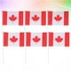 thumbnail image 3 of EeaseMX 20 banderas pequeñas de Canadá para sujetar con la mano, banderas internacionales de países del mundo, banderines para decoración de fiestas., 3 of 7
