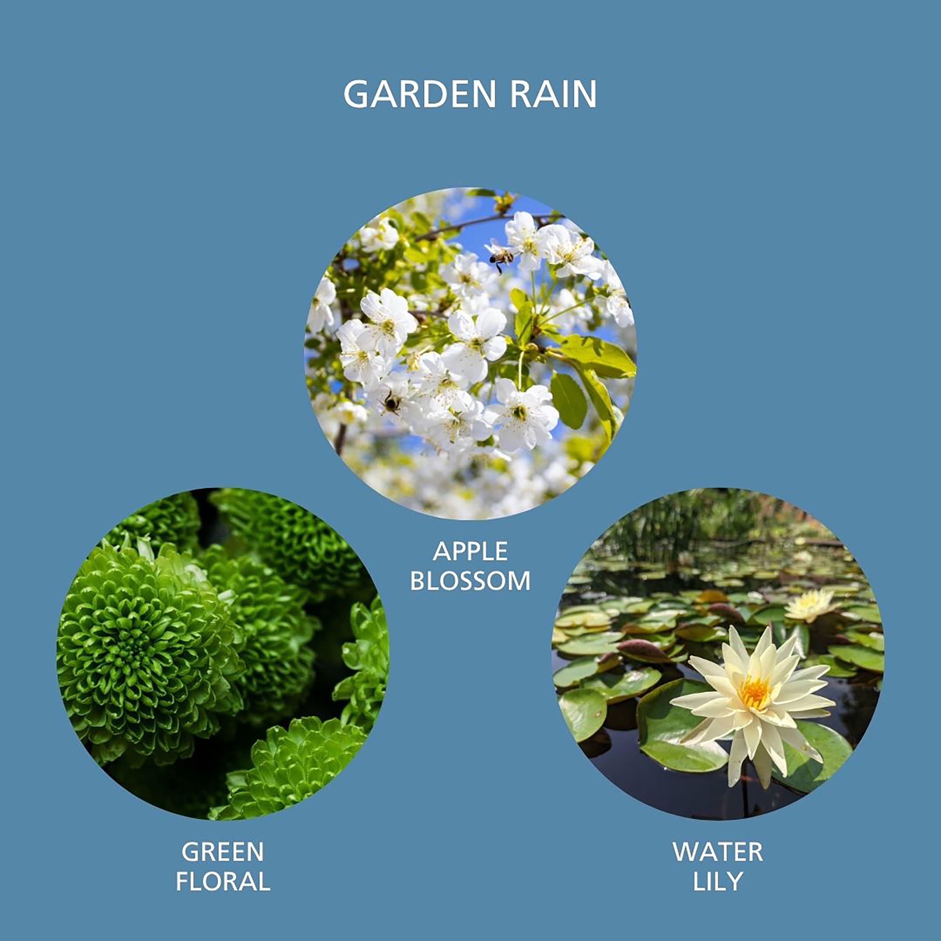Mainstays Garden Rain Scented Room & Linen Spray 3.4 fl oz (100mL).