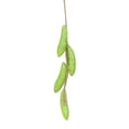thumbnail image 1 of Artificial Fruit Foam Vegetable Corn Pepper Garlic Hanging Photo Prop Home Decor, 1 of 8