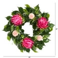 thumbnail image 2 of Nearly Natural W1152 24 in. Protea Artificial Wreath, 2 of 3