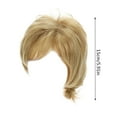 thumbnail image 2 of European Synthetic Wig for Women Fashion Short Straight Layered Hair with Blonde Highlights, 2 of 6