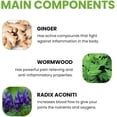 thumbnail image 3 of Parche Alivio Dolor Rodilla Wellnee Natural Wormwood y Terapia Calor 50PCS, 3 of 8