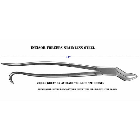 14 inch Equine Dental Tooth Incisor Forceps Instruments Wolf Extracting 98468