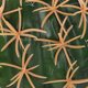 thumbnail image 3 of unbranded Accesorio Decorativo Para Con De Cactus En Material Resistente PU, 3 of 6
