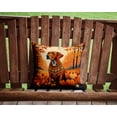 thumbnail image 2 of Vizsla Fall Fabric Decorative Pillow 14 in x 14 in, 2 of 4
