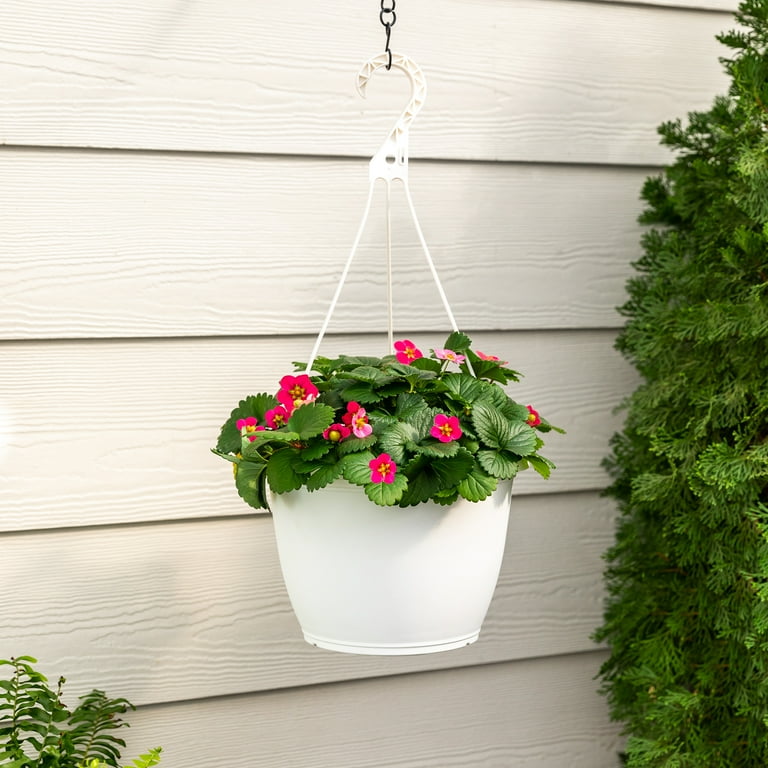 Hanging cheap plants walmart