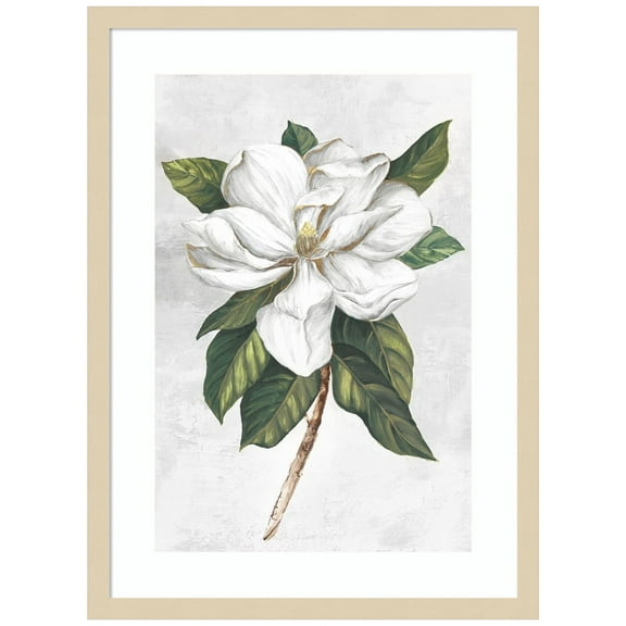 Amanti Art Pearly Beauty I Wood Framed Wall Art Print