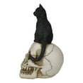 thumbnail image 3 of Witching Hour Black Feline Mystical Cat Sitting On Skull Wicca Macabre Figurine, 3 of 7