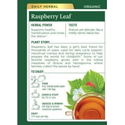 Traditional Medicinals Tea, Organic Raspberry Leaf, Tea Bags, 16 Count