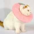 thumbnail image 6 of Adjustable Cat Cone Collar Soft Cat Recovery Collar Cute Cat Elizabethan Collars Pet Neck Cone for Kitten and Small Dogs, 6 of 7