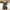 Dark Gray, variant on ZZwxWA Women's Summer Button Up Comfy Rompers Casual Suspender Shorts Jumpsuit Strap Pants with Pockets Bib Overalls