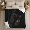 thumbnail image 5 of Mystical Black Cat Gold Stars Halloween, Mystical Pet Portrait Pattern, Warm Flannel Blanket for Living Room and Bedroom, Cat Lovers Halloween Gift, Pet Lover Home Decor, 5 of 9