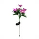 thumbnail image 1 of Popular!Maojin Luces decorativas de flores solares, luces de flores impermeables para jardín al aire libre, luces solares de estaca para decoración del hogar, 1 of 3