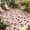 Red Green, variant on Strawberry Outdoor Rug for Patio/Deck/Porch, Non-Slip Large Area Rug 4 x 6 Ft, Tropical Summer Red Fruit Cherry Blossoms Indoor Outdoor Rugs Washable Area Rugs, Reversible Camping Rug Carpet Runner