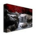 thumbnail image 2 of Trademark Fine Art 16x24 Landscape Canvas Wall Art 'Red Vison' by Philippe Sainte-Laudy, 2 of 3