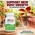 thumbnail image 6 of Hormex Rooting Hormone Powder #1 (0.10% IBA) for Delicate Houseplants, Succulents & Herbs - Gentle Root Stimulator for Softwood Plant Cuttings, Cloning, & Propagation, 6 of 9