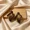 Brown, variant on Black Dark Green Enamel Textured Wave Stud Earrings With Goldtone Accents