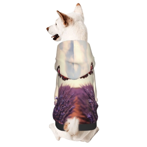 Fotbe Butterfly Over Lavender Sudadera con Estampado para Perros Pequeños – Suéter con Capucha para Mascotas, Tela Suave de Forro Polar con Bolsillo-X-Large
