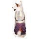 thumbnail image 1 of Fotbe Butterfly Over Lavender Sudadera con Estampado para Perros Pequeños – Suéter con Capucha para Mascotas, Tela Suave de Forro Polar con Bolsillo-X-Large, 1 of 7