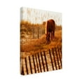 thumbnail image 2 of Trademark Fine Art 'Solitary Light' Canvas Art by PHBurchett, 2 of 4