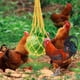 thumbnail image 5 of Juguetes para gallineros (6 unidades), escalera para gallineros, xilófono para pollos, espejo para pollos con cascabeles, verduras colgantes, mascotas para pollos., 5 of 6