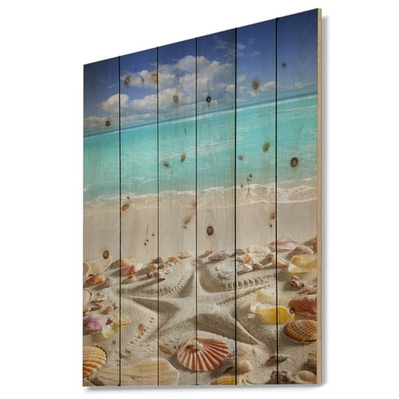 Designart 'Caribbean Sea Starfish' Beach And Shore Print on Natural Pine Wood