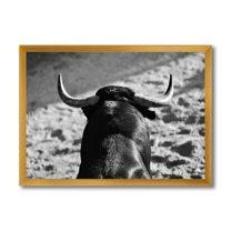Designart 'Black and White Portrait Of A Spanish Bull II' Farmhouse Framed Art Print