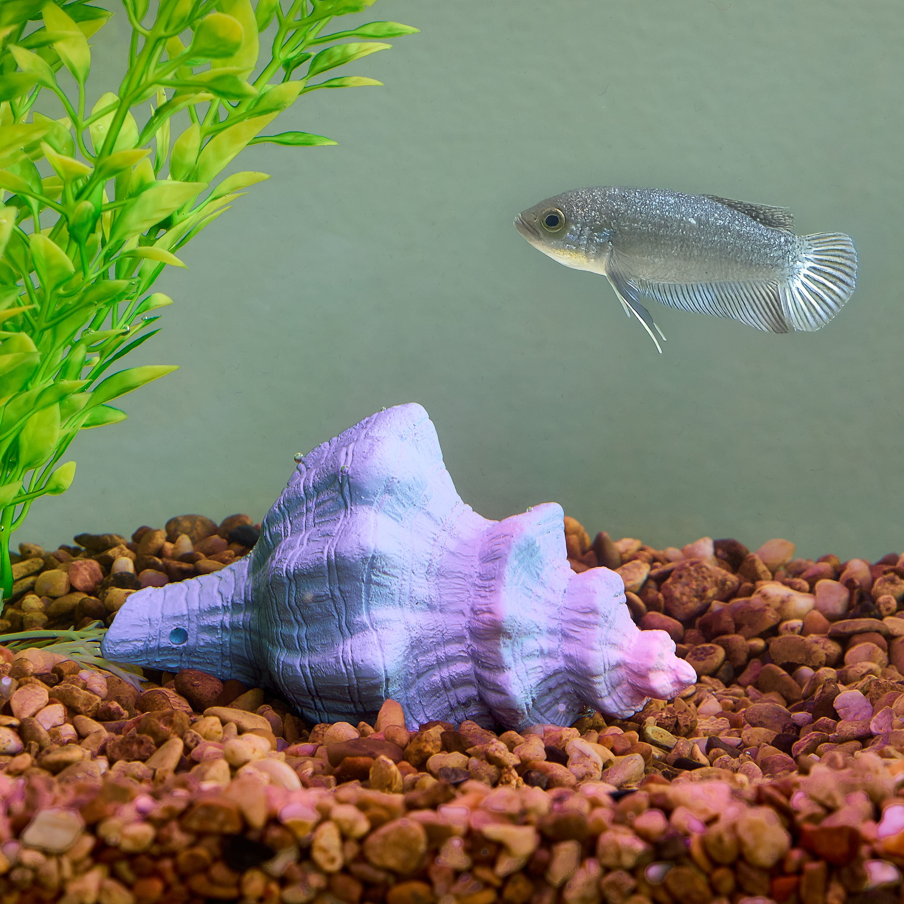Vibrant Life Resin Aquarium Decoration, Seashell Ornament, 2.16" x 3.74" x 2.28"