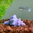 thumbnail image 2 of Vibrant Life Resin Aquarium Decoration, Seashell Ornament, 2.16" x 3.74" x 2.28", 2 of 7