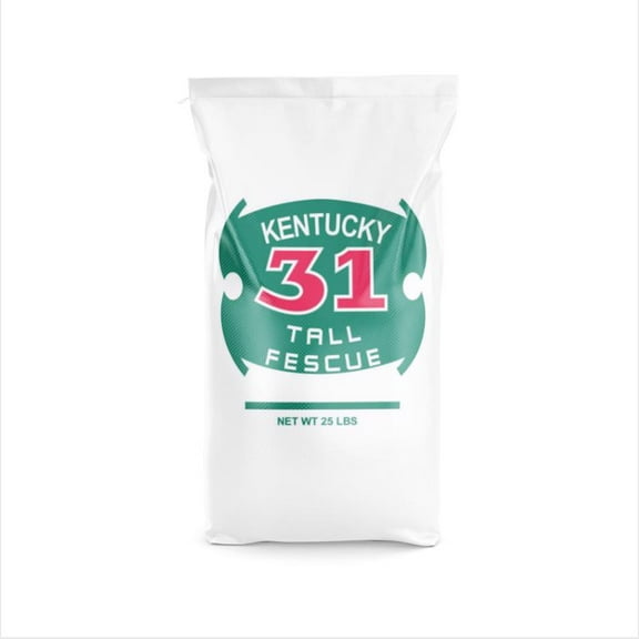 Barenbrug Kentucky 31 Tall Fescue Grass Seed, 25 lb - Sun or Shade Drought Tolerant