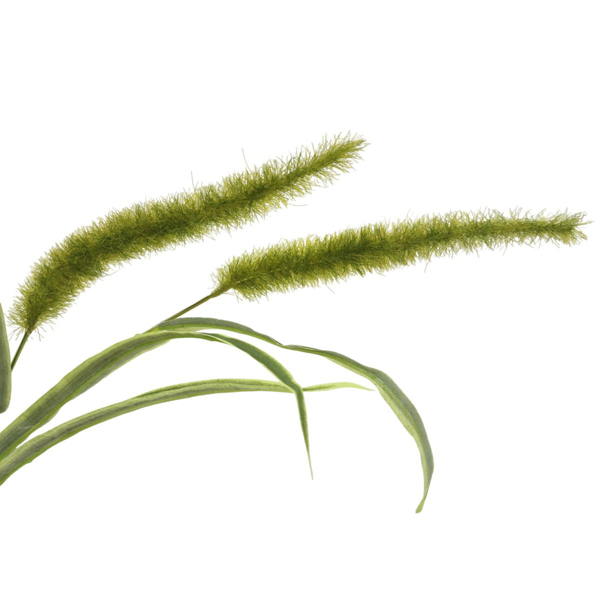 Mainstays 36" Artificial Green Dogtail Stem, Set of 12, Indoor Use