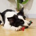 thumbnail image 5 of BotaniNest Interactive Chew Squeaky Durable Biting For Self Entertainment & Teething, 5 of 5