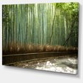 thumbnail image 2 of Beautiful View of Bamboo Forest, 2 of 3