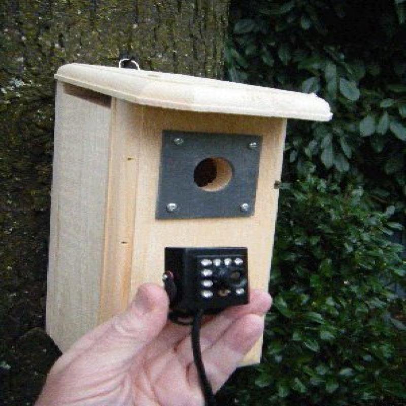 Birdhouse Spy Cam HD Backyard Backyard Birdhouse with Hawk Eye HD