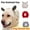 Off white, variant on Cute Beanie for Dogs, Dog Ear Muffs Noise Protection Knitted Head Wrap Pet Hats for Medium to Large Pets