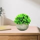 thumbnail image 4 of Mini plantas artificiales en maceta, pequeñas plantas de interior y exterior de nuestra tienda online. Gris b, 4 of 7