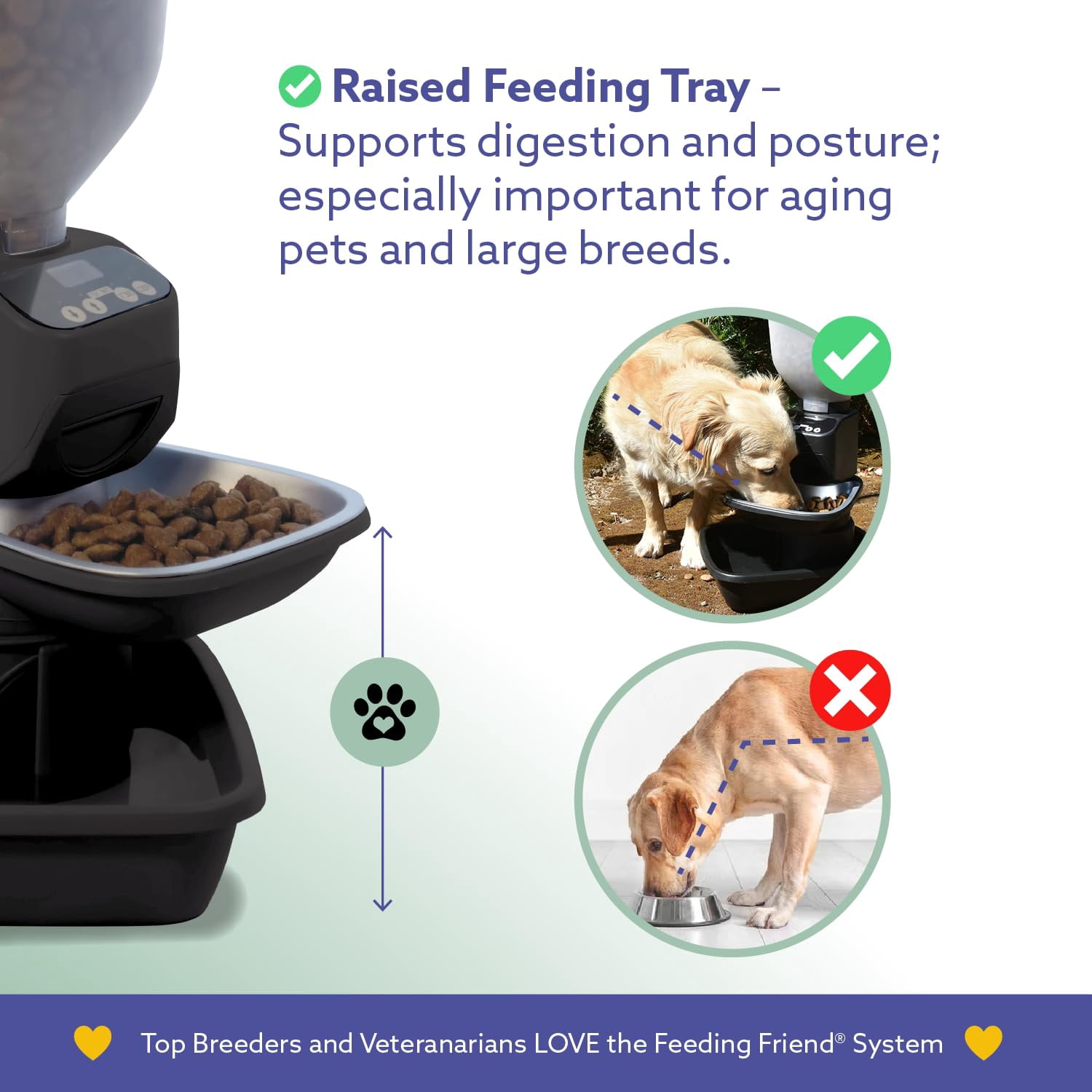Feeding Friend® Automatic Dog & Cat Food Feeder with Water Dispenser Smart Pet Feeder with Portion Control, OLED Display, Anti Jam Design, Battery Operated Dispenser for Small XS  4-15 lbs Pets Black