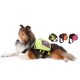 thumbnail image 4 of Perro Plegable Portátil De Viaje Impermeable Al Aire Libre Naranja M Sunnimix Perro Backpack, 4 of 8
