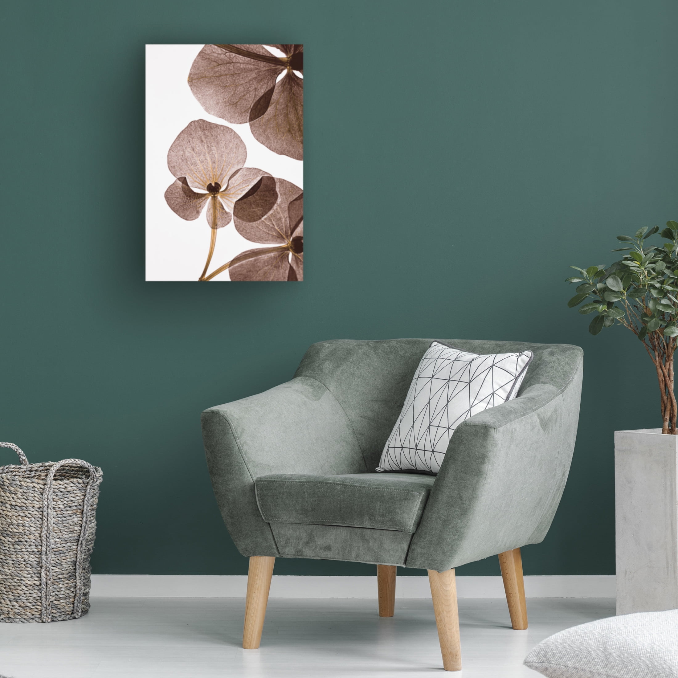 Trademark Fine Art Lenka Botanical 5 Canvas Wall Art