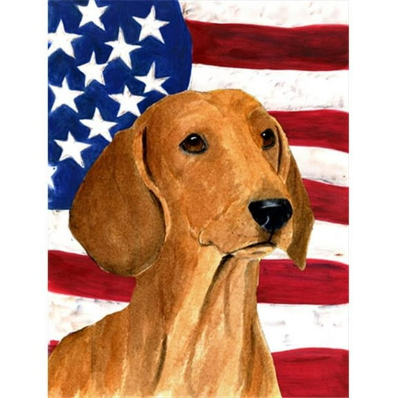 11 x 15 in. USA American Flag with Dachshund Garden Size Flag