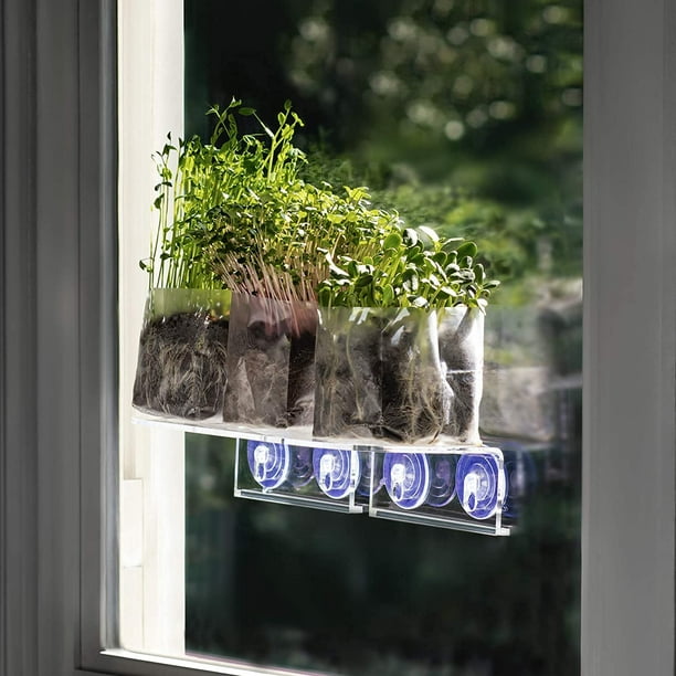 Window Plant Shelf Microgreens Kit Acrylic Window Ledge Shelf for Plants with Assorted
