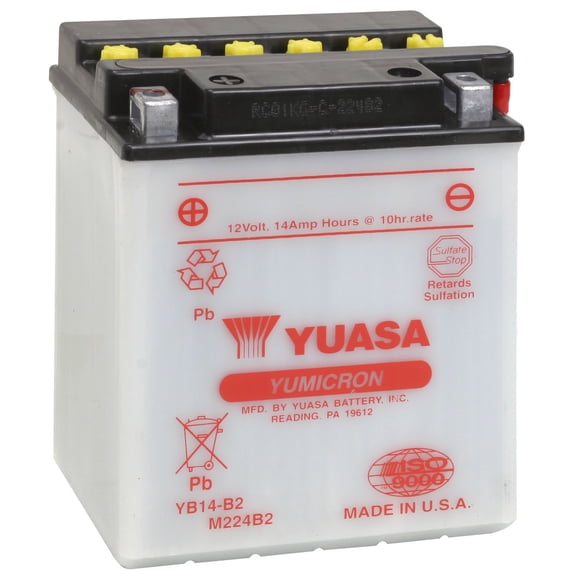 Yuasa Yumicron YB14-B2 12V 14Ah Conventional Lead Acid Battery, 190 CCA, Dry Charged (YUAM224B2IND)