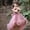 czb# Pink422, variant on CUZIBR Girls Toddler Birthday Party Formal Dresses Elegant Lace Floral Embroidery Crewneck Sleeveless Maxi Dress Sparkly Sequins Glitter Fairy Tiered Layered Tutu Tulle Ball Gowns,Pink,9-10 Years