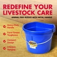 thumbnail image 3 of Little Giant 22 Quart Flat Plastic Animals Feed Bucket with Knob Bail, Blue, 3 of 9