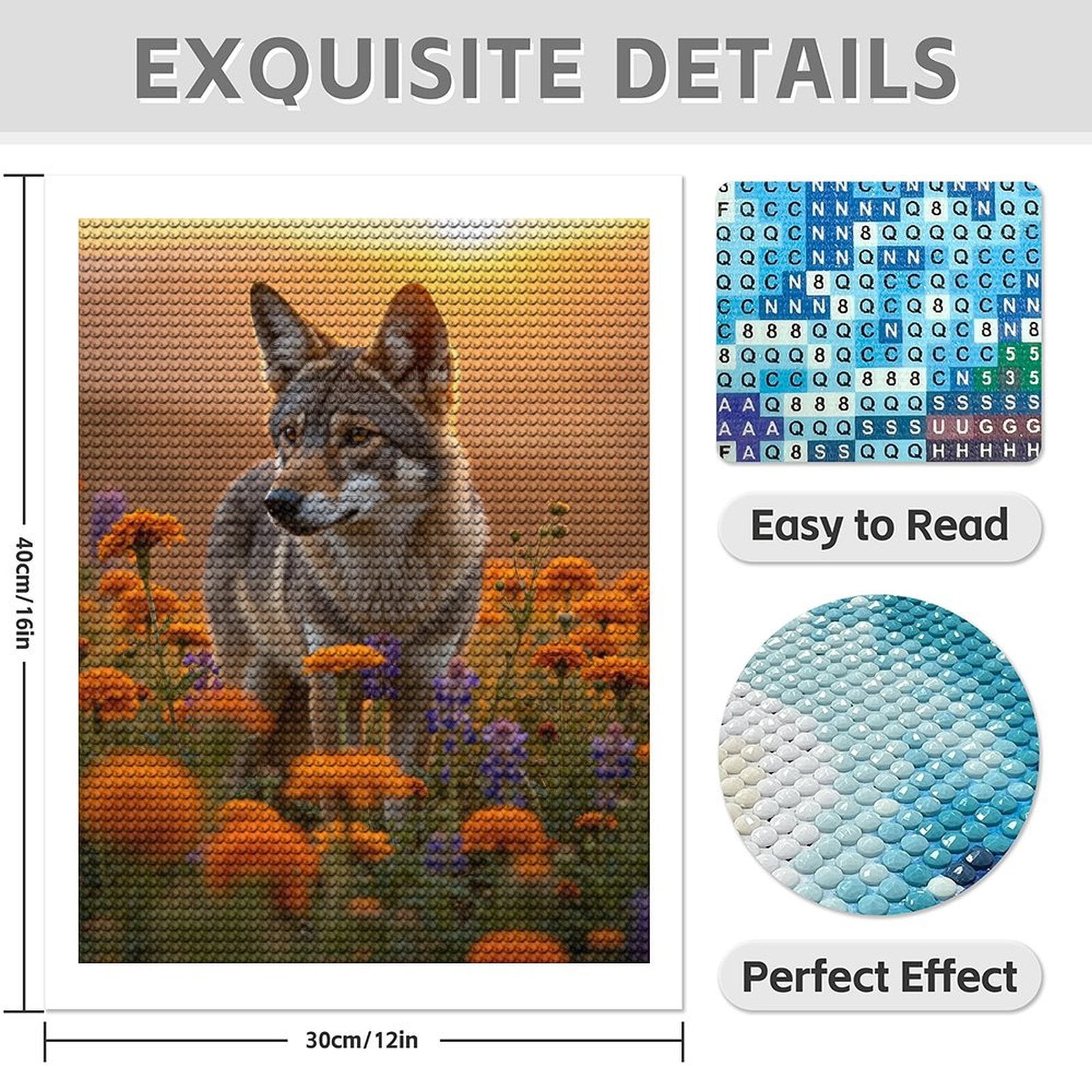 Diamond Art Kit for Adults, Sunset Meadow Coyote Blossoms Diamond Painting for Adults Beginners, 5D DIY Diamond Art Painting Kits, Colorful Diamond Painting Craft for Home Decor 12x16
