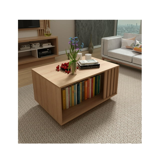 Mesa de Centro Estilo Moderno Con Compartimiento